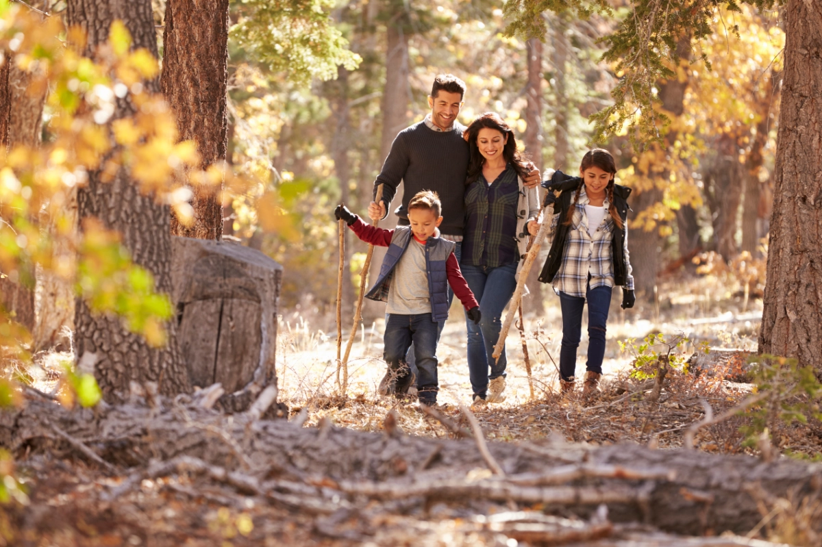 Family hiking in the woods